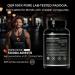 Fadogia Agrestis 600mg | 60 Servings | Testosterone Booster | Lab Tested | Sports Performance Supplement - Buy Online on GoSupps.com