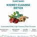 Premium Ayurvedic Kidney Cleanse & Repair Supplement - 60 Vegetarian Tablets for Healthy Kidneys & Urinary Tract Support - Buy Online on GoSupps.com