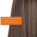 24 Brown Mix Blonde Highlighted Headband Wig for Black Women - Silky Straight Synthetic Glueless Wig - Daily Wear - Buy Online on GoSupps.com