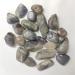 50-100g Natural Iolite Crystal Stones Polished Irregular Rolling Stones Minerals Specimen Cordierite Gemstone Collection Decor QINTINYIN (Color : 100g Size : 8-15mm) 8-15mm 100g - Buy Online on GoSupps.com
