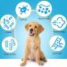 Dog Cough Supplements for Kennel Cough & Allergy Relief | Immune Support for All Breeds - Buy Online on GoSupps.com