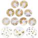 FRCOLOR 45 Boxes Nail Art Accessories Gold Trim Nail Charm Decals Nail Decals 3d Nail Art Stud Manicure Decals Strawberry Accessories Kids Gold Nail Studs Japanese White Disc Zinc Alloy - Buy Online on GoSupps.com
