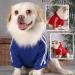 Cozy Dog Sweater for Small Dogs | Cute Cotton Hoodie - Warm Pet Coat in Dark Blue & Red - Buy Online on GoSupps.com