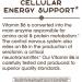 Nature's Way Vitamin B-6 50mg - 100 Capsules | Boost Energy & Support Mood - Buy Online on GoSupps.com