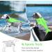 VIVAGLORY Dog Life Vest: Bright Green XS Sports Style Life Jacket for Small & Medium Dogs - Adjustable Straps, Easy On & Off - 43-51 cm Ribcage Girth - Buy Online on GoSupps.com