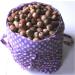 Buy 0.5kg Air-Dried Red Oak Acorns | Natural Rodent Food | 14.00/kg - International Shipping Available - Buy Online on GoSupps.com