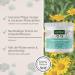 AniForte Paw Balm for Dogs 120ml | Natural Protection for Dry & Cracked Paws | Beeswax Formula for Winter | Cat Paw Cream Against Ice & Road Salt - Buy Online on GoSupps.com