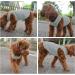 Yaodhaod Cotton Dog Clothing - Soft Breathable T-Shirts for Small & Medium Dogs | Sun Protection | Available in Black & Gray - Buy Online on GoSupps.com