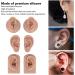 3 Pairs of Silicone Ear Models for Otoplasty & Acupuncture - Soft Flexible Jewelry Display & Piercing Practice - Buy Online on GoSupps.com