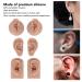 Handcrafted Silicone Human Ear Model - 3 Pairs for Acupuncture Training (Medium Skin Color) - Buy Online on GoSupps.com