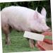 FRCOLOR 6 Pcs Pig Pregnancy Test Paper - Early Detection Strips for Sow & Farm Fertility Tools - Buy Online on GoSupps.com