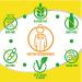 Culturelle Digestive Daily Probiotic - Fresh Orange, 10 Billion CFUs, 24 Tablets - Buy Online on GoSupps.com