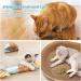 Osdue 100% Natural Catnip - Fillable Bags for Cat Toys Training & Games (50g) | Premium Catnip Mix for Scratching Trees & Beds - Buy Online on GoSupps.com