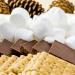 112 Piece FireStix S'Mores Kit - Makes 24 S'Mores - Includes Roasting Sticks, Chocolate, Graham Crackers, Marshmallows - Ideal for Camping, Fire Pits, Parties - Buy Online on GoSupps.com
