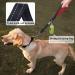Vivaglory Short Dog Leash - Premium 46cm Training Line for Medium & Large Dogs | Black/Red Traffic Leash - Buy Online on GoSupps.com