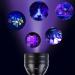 Retoo UV Black Light Flashlight | Spot Dried Stains & Detect Fake Currency | Ideal for Pets & Home Use - Buy Online on GoSupps.com