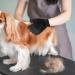Fousenuk Silicone Pet Care Gloves for Dogs & Cats - Deshedding Bathing & Massage - Adjustable Fur Care with Velcro Fastener - Buy Online on GoSupps.com