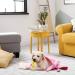 Dono 3 Pack Dog Blankets - Soft Fluffy Fleece Pet Blanket with Paw Print Design - Warm Sleep Mat for Small Dogs - Brown/Pink/Purple - Buy Online on GoSupps.com
