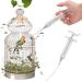 ZYFFHG Syringe Birds Feeding Syringe Parrot Feeding Tubes Feeding Syringe 50ml Plastic Syringe Hand Rearing Feeding Syringes Pet Syringe 5cm * 4mm Used for Pet Sick Bird Parrot Feed Milk or Medicine - Buy Online on GoSupps.com