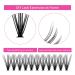 Buy 20D Individual Cluster Eyelashes for Extensions | 0.07 D CURL Mix (15-20mm) - Perfect for Beginners | Artificial Eyelashes DH-20D-07-D - Buy Online on GoSupps.com