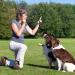 Professional Ultrasonic Dog Whistle With Lanyard & Dog Training Clicker For Recall Stop Barking Adjustable Frequencies Proven Results Pet Training Set - Buy Online on GoSupps.com