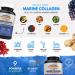 Marine Collagen 1400mg Capsules with Biotin, Hyaluronic Acid, Vitamin C & E for Skin, Hair & Joints | Type 1 Collagen from Sustainable North Sea Fish - Buy Online on GoSupps.com