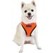 Puppia Soft Harness II - Comfortable & Adjustable Soft Dog Harness for Small & Medium Dogs - Orange - Puha1770orl - Buy Online on GoSupps.com