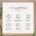 Air Wick Pure Freshmatic Lavender & Chamomile Refills - 5.89 oz, Pack of 2 - Buy Online on GoSupps.com