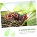 1pc Pigeon Rehydration Device Cat Feeder Young Bird Drinker Bird Feeding Pet Supplies Pigeon Dropper Dog Feeder Baby Tools Weaning Accessory The Bird Plastic Pet Bird - Buy Online on GoSupps.com