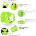 Buy Supet Cat Dishes & Harness Set - Fleeing Kitten Cat Vest Universal Leash & Dishes for Cats/Puppies (M) - Green - International Shipping Available - Buy Online on GoSupps.com