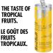Red Bull Energy Drink Tropical 250ml (4 pack) - Buy Online on GoSupps.com