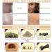 Face Roller Oil Absorbing Volcanic Roller Oily Skin Control for Face Makeup Portable Reusable Oil Resistant Face Roller Oil Absorbing Control Stick Facial Skin Care Tool (C) - Buy Online on GoSupps.com