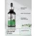 Horb ach Horsetail Herb Liquid Extract | Alcohol Free | 2 fl oz | Vegetarian Non-GMO & Gluten Free Supplement - Buy Online on GoSupps.com