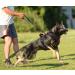 Buy POPOT No Pull Dog Harness - Reflective Front Vest for Daily Training Walking & Running | Red XL - Buy Online on GoSupps.com