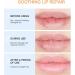Lip Balm Propolis Lip Scrub Gel Lips Exfoliating Scrub Gel Lip Scrub Exfoliator Moisturizing Repair Lip Dead Skin Gel Lip Lightening for Dark Lips Nursing Lip Dead Skin Gel Overnight Lip Treatment - Buy Online on GoSupps.com