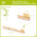 Nature Nerds Soft Bamboo Toothbrush Set for Kids - Eco-Friendly Children's Toothbrushes (Pack of 4) - Buy Online on GoSupps.com