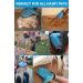 2-in-1 Pet Glove Grooming Tool & Furniture Hair Remover Mitt for Cats & Dogs | Gentle Deshedding Brush with Rubber Tips | Soft Massage Groomer Mitt - Buy Online on GoSupps.com