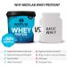 Bodylab24 Whey Protein Powder - Coconut Flavor 1kg | Premium Quality Protein Supplement for Muscle Growth & Recovery - Buy Online on GoSupps.com