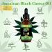 Nature's Magic Jamaican Black Castor Oil - Cold Pressed Unrefined Oil for Hair Growth Skin & Nails | Nourish Scalp & Stimulate Growth Globally - Buy Online on GoSupps.com