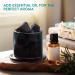 Buy Navaris Lava Stone Volcano Diffuser | Portable Glass Essential Oil Aromatherapy | No Electricity | Calming Fragrant Living Space - Buy Online on GoSupps.com