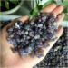 FURREN Gemstones and Crystals 50g-300g Natural Purple and Green Crystal Grape Agate Point Specimen Home Decoration Reiki Crystal Stone (Color : Grape Agate Size : 80g) 80g Grape Agate - Buy Online on GoSupps.com