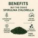 Organic Chlorella Spirulina Tablets 3000mg Per Serving 1440 Tablets 8 Month Supply Only 1 Ingredient 50/50 Blend Super Food Highest Grade Chlorella Spirulina High Protein & Chlorophyll - Buy Online on GoSupps.com