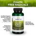 Swanson Turmeric & Black Pepper 60 Veggie Capsules - Anti-Inflammatory Supplement - Buy Online on GoSupps.com
