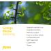 Ginkgo Biloba 6000mg 120 Tablets Memory & Cognitive Function Vegan UK Made GMP Approved MOBU - Buy Online on GoSupps.com