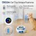 ORSDA Cat Toys Rechargeable Interactive Cat Toys for Indoor Cats 3 in 1 Automatic Kitten Toy Moving Ambush Feather Fluttering Butterfly Track Balls Whack a mole Cat Teaser with 6 Attachments Bright White - Buy Online on GoSupps.com
