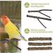 Natural Bird Toys for Small Macaws, Budgies, Lovebirds, Finches | Pepper & Apple Tree Perches for Small to Medium-Sized Birds - Buy Online on GoSupps.com