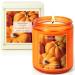 SCENTORINI Pumpkin Spice Scented Candle Halloween Candles Gift 7.4 oz Natural Soy Wax Candle Aromatherapy Candle Gift Set for Fall Decorations Halloween Pumpkin 1 Pack