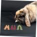 POPETPOP Rabbit Snacks Guinea Pig Treats Rabbit Treat Hamster Chew Bunny Stuff Bunny Supplies Fiber - Buy Online on GoSupps.com