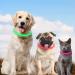 Auauy LED Light Neck Band Dog Collar - USB Rechargeable Waterproof & Adjustable - Pet Security Luminous Band for Dogs & Cats (Red) - Buy Online on GoSupps.com