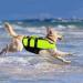NAMSAN Dog Life Jackets Life Jacket for Dog Portable Inflatable Life Jackets for Small/Medium/Large Dogs Green-L L Green
